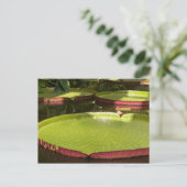 Carte Postale Conception botanique florale de nénuphar tropical (Debout devant)