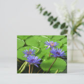 Carte Postale Conception botanique florale de nénuphar tropical (Debout devant)