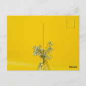 Carte Postale Conception d'amour (Dos)