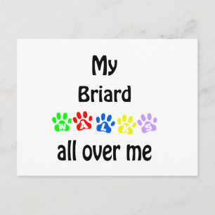 Carte Postale Conception de Briard Walks