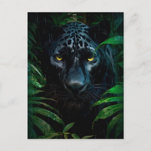 Carte Postale Conception de faune de jungle de panthère noire my (Devant)