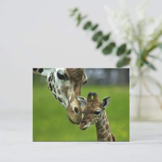 Carte Postale Conception de girafe (Debout devant)