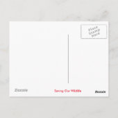 Carte Postale Conception de girafe (Dos)