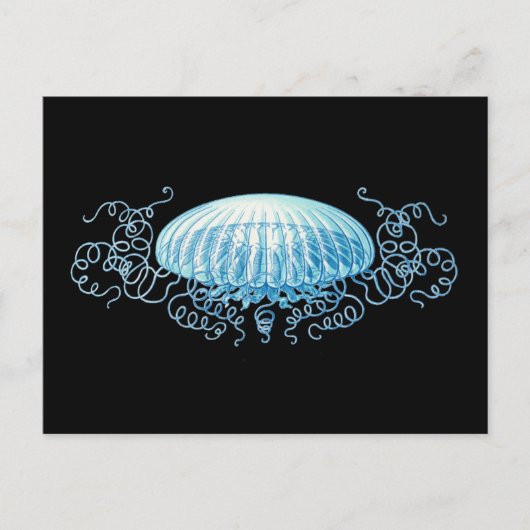 Carte Postale Conception de la méduse Haeckel (Devant)
