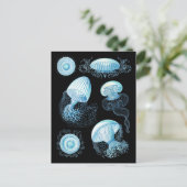 Carte Postale Conception de la méduse Haeckel (Debout devant)