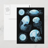 Carte Postale Conception de la méduse Haeckel (Devant / Derrière)
