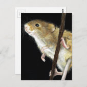 Carte Postale Conception de la souris de champ (Devant / Derrière)