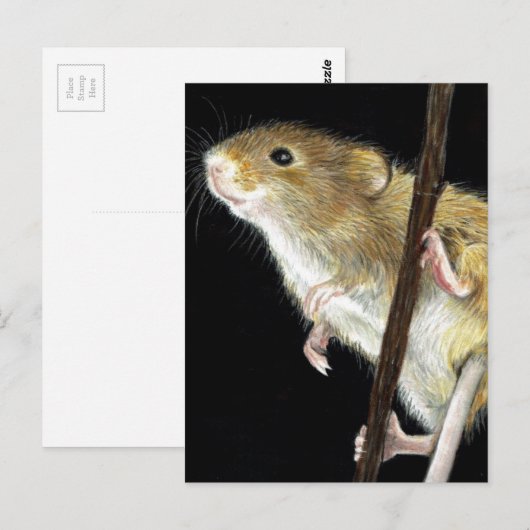 Carte Postale Conception de la souris de champ (Devant / Derrière)