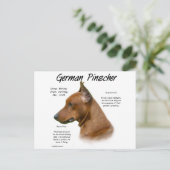 Carte Postale Conception de l'histoire allemande Pinscher (Debout devant)