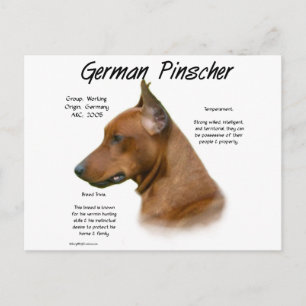 Carte Postale Conception de l'histoire allemande Pinscher