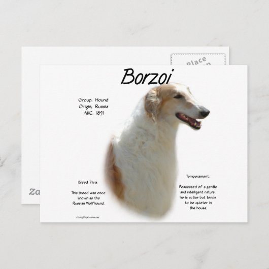Carte Postale Conception de l'histoire de Borzoi (Devant / Derrière)