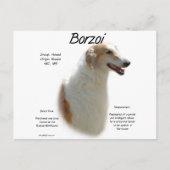 Carte Postale Conception de l'histoire de Borzoi (Devant)