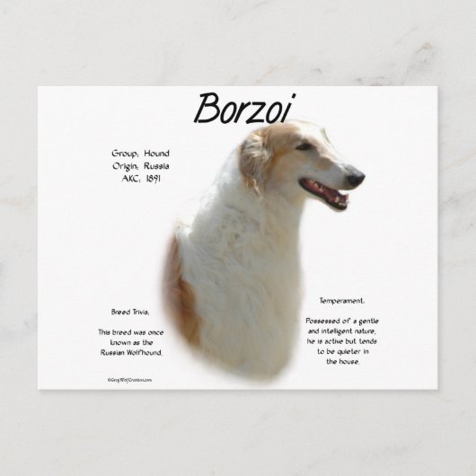Carte Postale Conception de l'histoire de Borzoi (Devant)