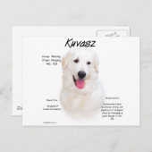 Carte Postale Conception de l'histoire de Kuvasz (Devant / Derrière)