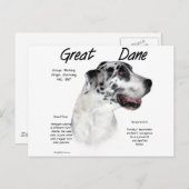 Carte Postale Conception de l'histoire de l'arlequin (Devant / Derrière)