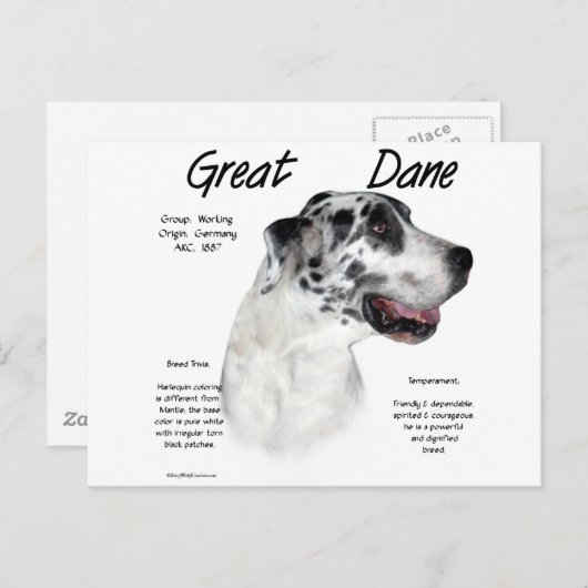 Carte Postale Conception de l'histoire de l'arlequin (Devant / Derrière)