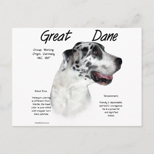 Carte Postale Conception de l'histoire de l'arlequin (Devant)