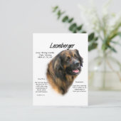 Carte Postale Conception de l'histoire de Leonberger (Debout devant)
