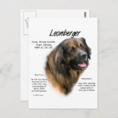 Carte Postale Conception de l'histoire de Leonberger (Devant / Derrière)