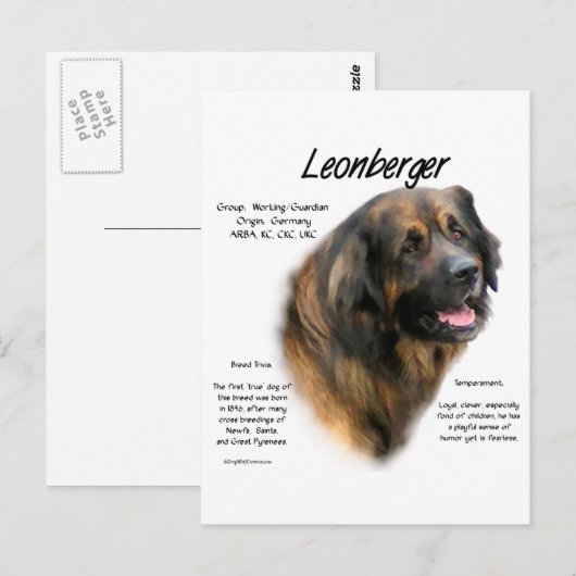 Carte Postale Conception de l'histoire de Leonberger (Devant / Derrière)