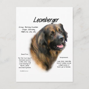 Carte Postale Conception de l'histoire de Leonberger