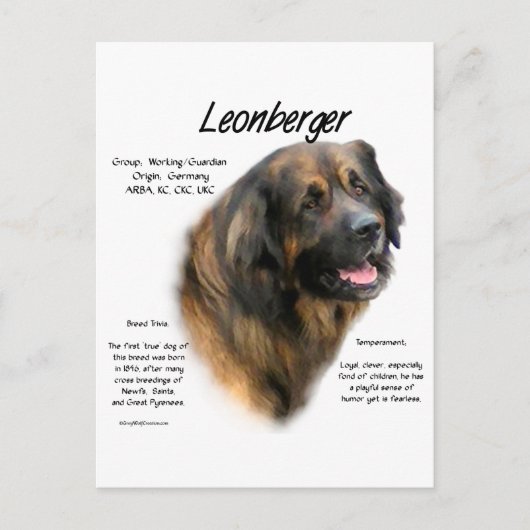 Carte Postale Conception de l'histoire de Leonberger (Devant)