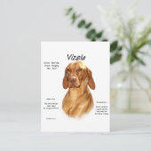 Carte Postale Conception de l'histoire de Vizsla (Debout devant)