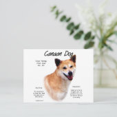 Carte Postale Conception de l'histoire des chiens canadiens (Debout devant)