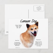 Carte Postale Conception de l'histoire des chiens canadiens (Devant / Derrière)