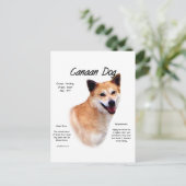 Carte Postale Conception de l'histoire des chiens canadiens (Debout devant)