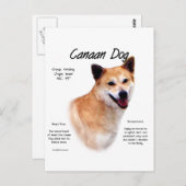 Carte Postale Conception de l'histoire des chiens canadiens (Devant / Derrière)