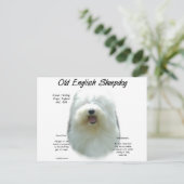 Carte Postale Conception de l'histoire des chiens de garde angla (Debout devant)