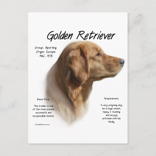 Carte Postale Conception de l'histoire des trieurs d'or (Devant)