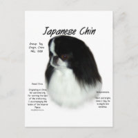 Conception de l'histoire du chinois japonais