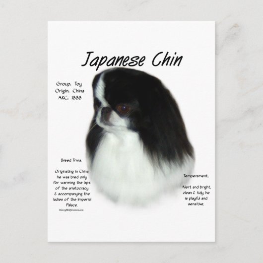 Carte Postale Conception de l'histoire du chinois japonais (Devant)