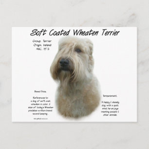 Carte Postale Conception de l'histoire du Terrier revêtu d'un re