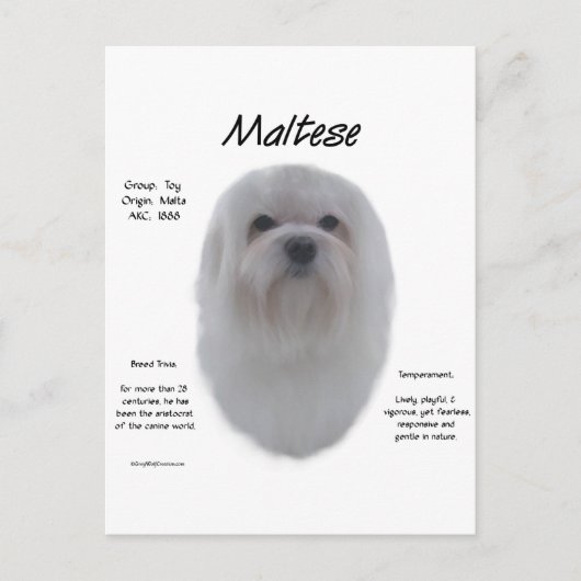 Carte Postale Conception de l'histoire maltaise (Devant)