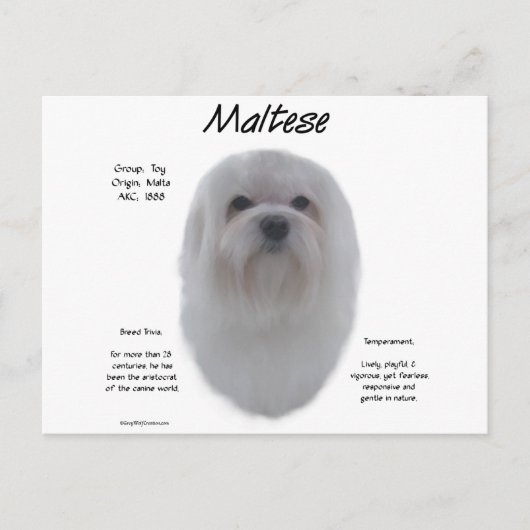 Carte Postale Conception de l'histoire maltaise (Devant)