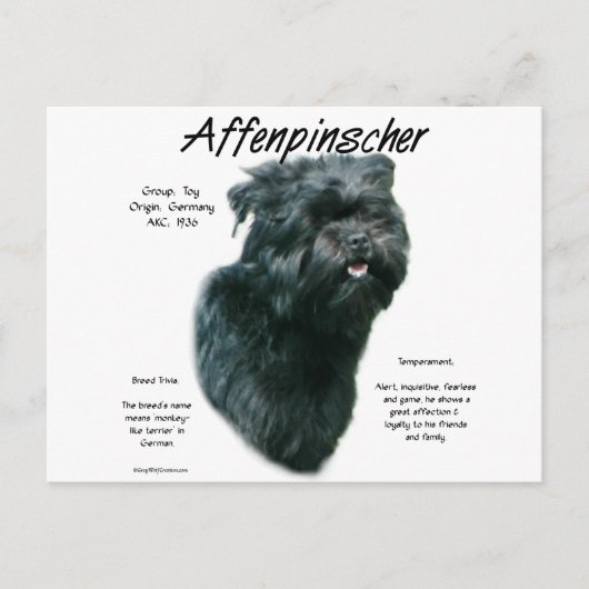 Carte Postale Conception de l'historique Affenpinscher (Devant)