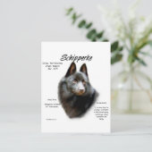 Carte Postale Conception de l'historique de Schipperke (Debout devant)