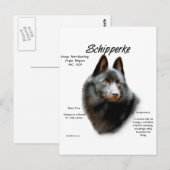 Carte Postale Conception de l'historique de Schipperke (Devant / Derrière)