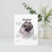 Carte Postale Conception de l'historique des clés (Debout devant)