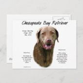 Carte Postale Conception de l'historique des récupérateurs de la (Devant / Derrière)