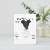 Carte Postale Conception de l'historique du renard lisse (Debout devant)
