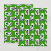 Carte Postale Conception de motif d'ours polaire vert (Devant / Derrière)