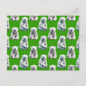 Carte Postale Conception de motif d'ours polaire vert (Dos)