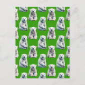 Carte Postale Conception de motif d'ours polaire vert (Devant)