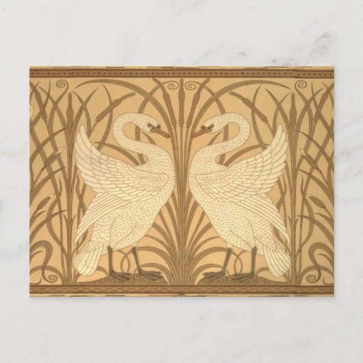 Carte Postale Conception de papier peint de cygne (Devant)