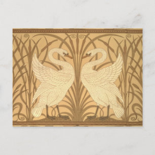 Carte Postale Conception de papier peint de cygne