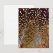 Carte Postale Conception de plume de faisan marron (Devant / Derrière)